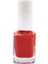 Kozmetik Seti / Oje No: 299 + 80 & Oje Nail Art Fırça Seti 15 Parça 1