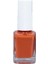 Kozmetik Seti / Oje No: 308 + 316 & Oje Nail Art Fırça Seti 15 Parça 1