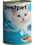 Bestpet Somonlu Konserve Yetişkin Kedi Maması 400 gr 1