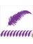 Şeffaf Balon İçi Kuş Tüyü, 100 Adet - Mor 1