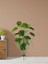 Yapay Ağaç Monstera 18 Dallı Çalılı Gövde 120 x 60 cm Gümüş Aleminyum Saksıda 2