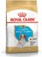 Cavalier King Charles Puppy Yavru Köpek Maması 1,5 kg 1