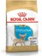 Chihuahua Puppy Yavru Köpek Maması 1,5 kg 1