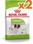 X-Small Küçük Irk Köpek Maması 1,5 kg x 2 Adet 1