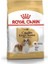 Cavalier King Charles Köpek Maması 3 kg 1