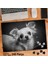 Asil Hobi Chihuahua - Siyah Beyaz Resim -Köpek Yapboz -Ayak Destekli Çerçeveli 240 Parça Puzzle 1