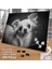 Asil Hobi Chihuahua - Siyah Beyaz Resim -Köpek Yapboz -Ayak Destekli Çerçeveli 240 Parça Puzzle 2