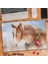 Asil Hobi At - Hayvan - Yağlı Boya Efekti Yapboz-Ayak Destekli Çerçeveli 240 Parça Puzzle 1