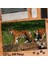 Asil Hobi Yavru Kaplan - Doğa - Hayvan - Amazon Yapboz-Ayak Destekli Çerçeveli 240 Parça Puzzle 1