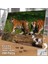 Asil Hobi Yavru Kaplan - Doğa - Hayvan - Amazon Yapboz-Ayak Destekli Çerçeveli 240 Parça Puzzle 2
