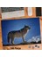 Asil Hobi Kurt - Vahşi Yaşam - Doğa- Hayvan - Köpek Yapboz -Ayak Destekli Çerçeveli 240 Parça Puzzle 1