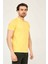 Caz 4613 Polo T-Shirt Hardal 3