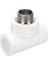 Pprc 20 Mm-1/2 Dış Dişli Te (5 Adet) 1