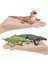 3x Simülasyon Katı Vahşi Hayvan Modeli Playset Boddlers Hediyeler Raf Dekor (Yurt Dışından) 2