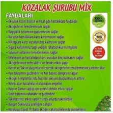 Hatice Sultan Doğal Uşak Tarhanası Kozalak Şurubu 1 kg