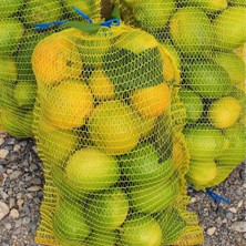 Sera Trend 35x50 FİLE ÇUVAL LİMON FİLESİ  (25 ADET) LİMON CEVİZ FINDIK ÇUVALI ÇOK AMAÇLI BOŞ ÇUVAL