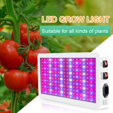 Buyfun 1000W 216 LED Işıklı Bitki Işığı - Çok Renkli (Yurt Dışından)