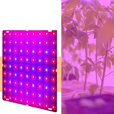 Buyfun 81LI Led'li Bitki Yetiştirme Işığı - Pembe / Mor (Yurt Dışından)