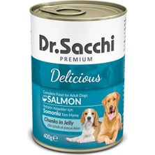 Dr. Sacchi Dr.sacchi Konserve Köpek Somonlu 400GR