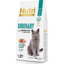 Nutri Feline Adult Urinary Idrar Sağlığı Somonlu Yetişkin Kedi Maması 2 kg