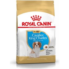 Royal Canin Cavalier King Charles Junior Yavru Köpek Maması 1,5 kg