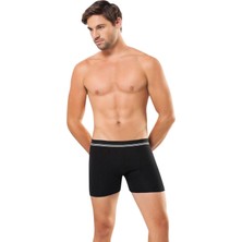 Anıt Bel Lastiği Çizgili Pamuklu Boxer 1252