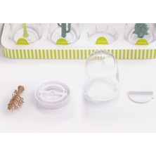 Sinerji Shop Kar Küresi Model Seasoning Shakers Dört Mevsim Baharatlık