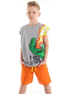 Mshb&G T-Rex Alev Temalı Erkek Çocuk T-Shirt Şort Takım Pamuklu 2 Parça