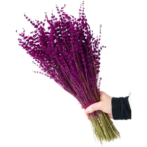 Kuru Lavanta Demeti Pembe