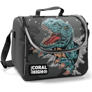 Coral High Kids Gri Dinazorlu Thermo Beslenme Çantası 22747