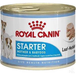Royal Canin Starter Mousse Konserve Yavru Köpek Maması 195 gr