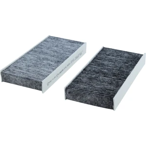 Gold Filter Honda Civic Vıı | 2001 > 2005 1.7i Es Vtec Karbonlu Polen Filtresi