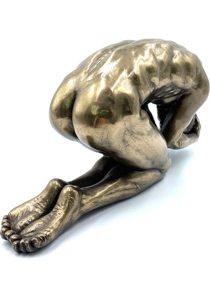 Wise Body Biblo modelleri