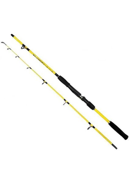 Dft Focus Dolgu 50-100 150CM Kamış