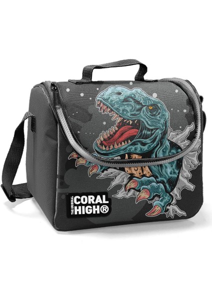 Kids Gri Dinazorlu Thermo Beslenme Çantası 22747