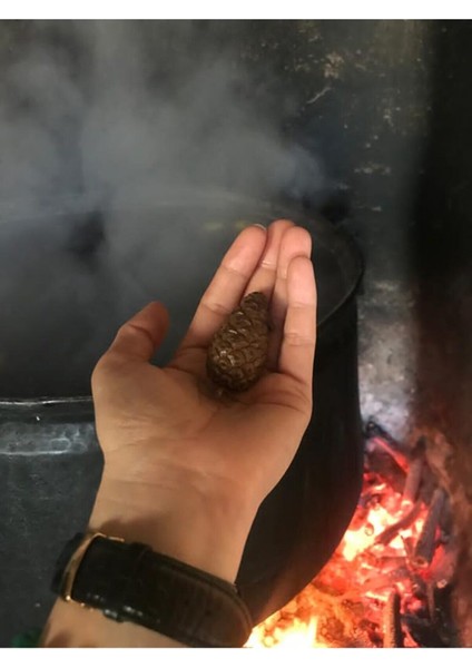 Kozalak Şurubu 1 kg