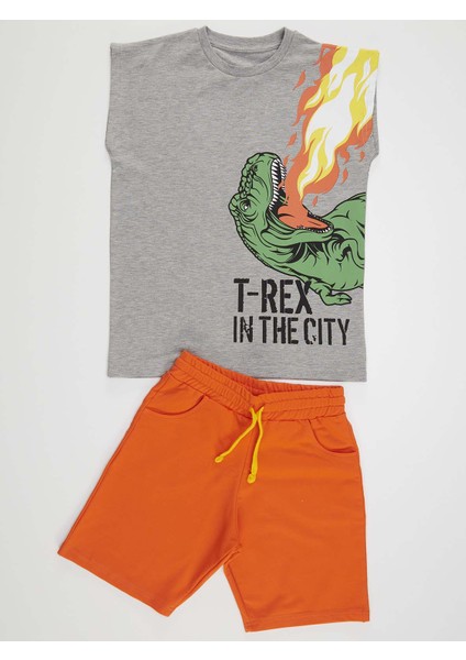 T-Rex Alev Erkek Çocuk T-Shirt Şort Takım modelleri