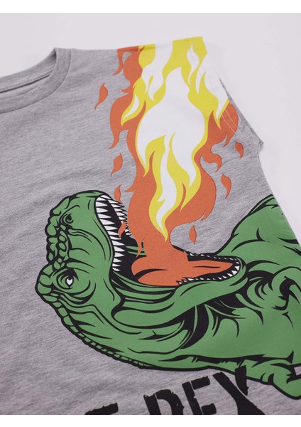 T-Rex Alev Erkek Çocuk T-Shirt Şort Takım indirimleri