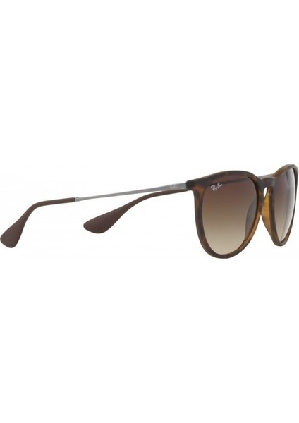 RB 4171 865/13 54 Erika Unisex Güneş Gözlüğü