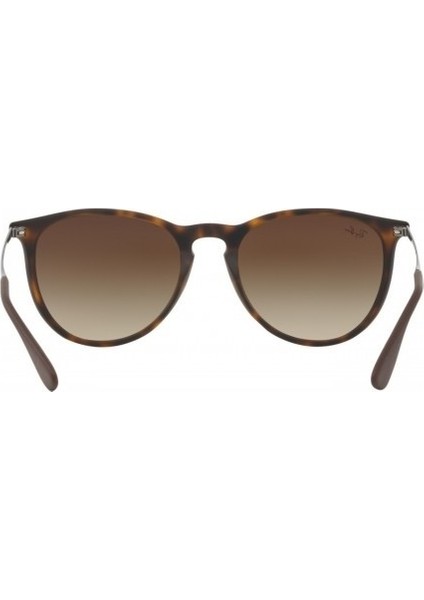 RB 4171 865/13 54 Erika Unisex Güneş Gözlüğü