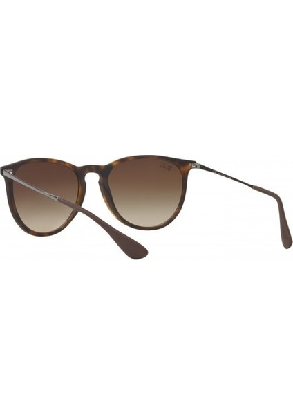 RB 4171 865/13 54 Erika Unisex Güneş Gözlüğü
