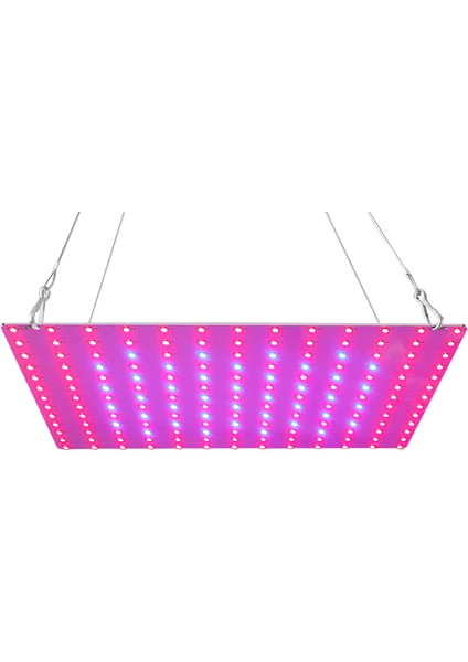 81LI Led'li Bitki Yetiştirme Işığı - Pembe / Mor (Yurt Dışından)