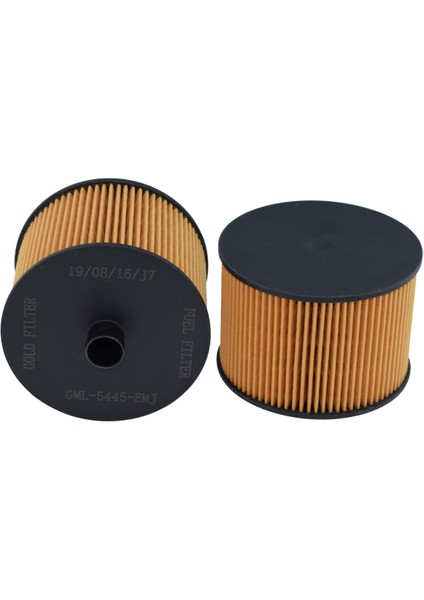 Peugeot 407 + 407 Coupé | 2004 > … 2.0 Hdi Yakıt Filtresi