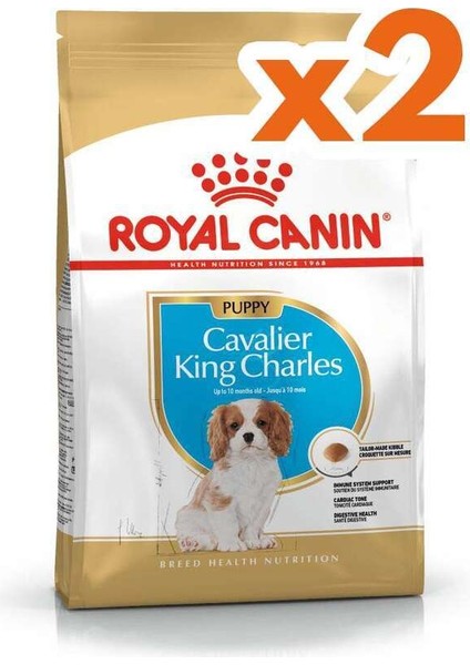 Cavalier King Charles Puppy Yavru Köpek Maması 1,5 kg x 2 Adet