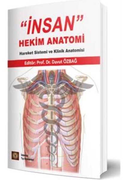 ‘’insan’’ Hekim Anatomi Hareket Sistemi ve Klinik Anatomisi - Davut Özbağ