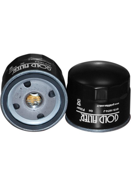 Renault Mégane Iıı | 2008 > … 2.0 16V Tce Rs Yağ Filtresi