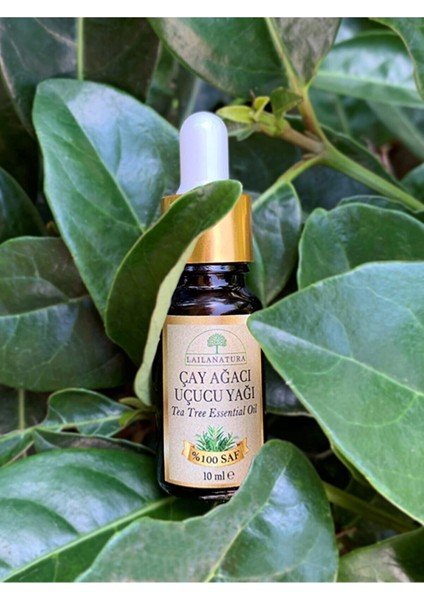Çay Ağacı Uçucu Yağı %100 Saf ve Doğal 10 ml
