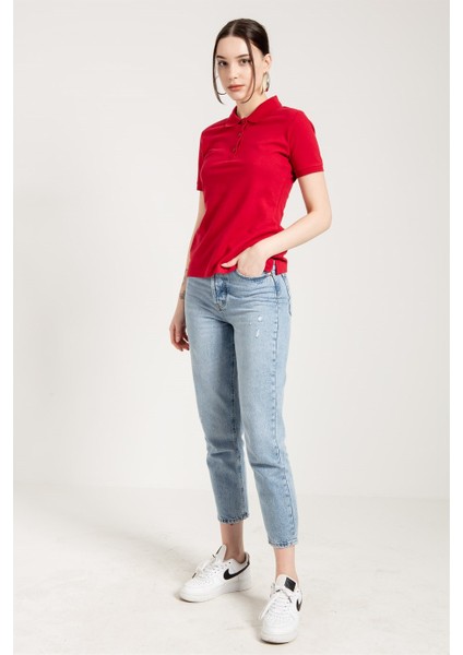 Kırmızı Klasik Kadın Polo Yaka T-Shirt