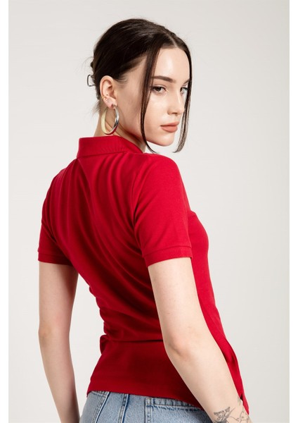 Kırmızı Klasik Kadın Polo Yaka T-Shirt modelleri