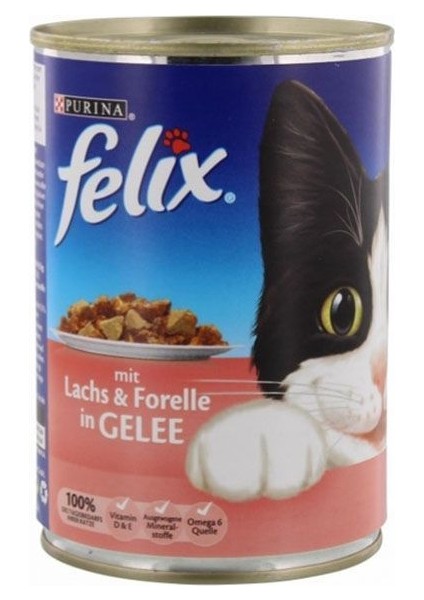 Somonlu ve Alabalıklı Konserve Kedi Mamasi 400 gr